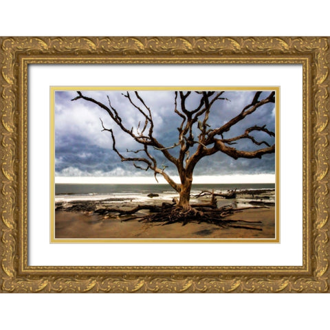 Storm is Coming II Gold Ornate Wood Framed Art Print with Double Matting by Hausenflock, Alan