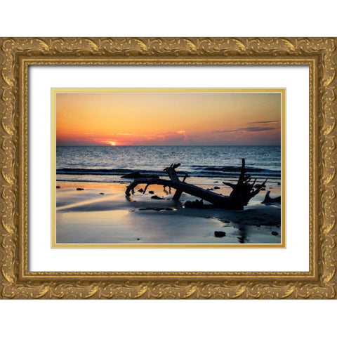 Jekyll Island Sunrise I Gold Ornate Wood Framed Art Print with Double Matting by Hausenflock, Alan