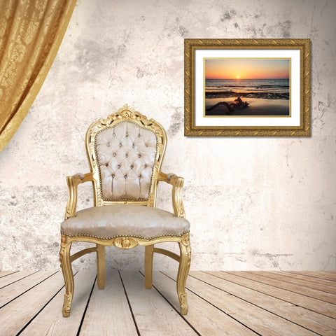 Jekyll Island Sunrise II Gold Ornate Wood Framed Art Print with Double Matting by Hausenflock, Alan