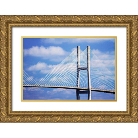 Sidney Lanier Bridge I Gold Ornate Wood Framed Art Print with Double Matting by Hausenflock, Alan