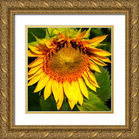 Sunflower I Gold Ornate Wood Framed Art Print with Double Matting by Hausenflock, Alan