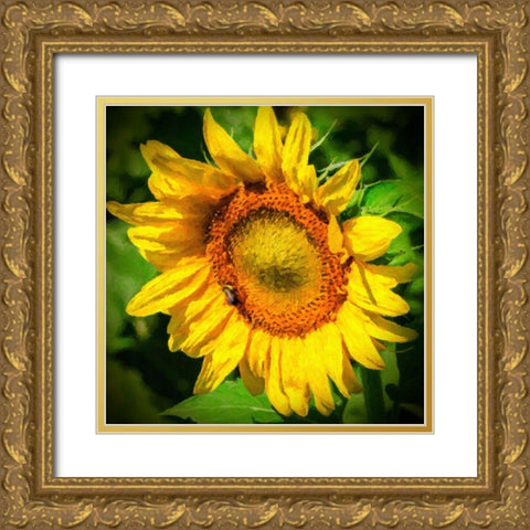 Sunflower II Gold Ornate Wood Framed Art Print with Double Matting by Hausenflock, Alan