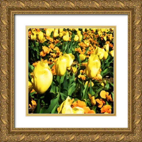 Yellow Tulips Gold Ornate Wood Framed Art Print with Double Matting by Hausenflock, Alan