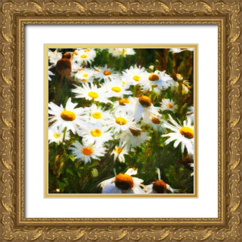 Sunlit Daisies Gold Ornate Wood Framed Art Print with Double Matting by Hausenflock, Alan