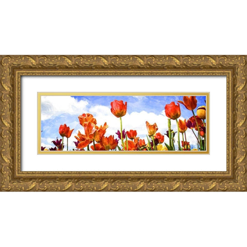 Tulips in the Sun I Gold Ornate Wood Framed Art Print with Double Matting by Hausenflock, Alan