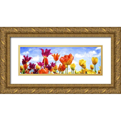 Tulips in the Sun II Gold Ornate Wood Framed Art Print with Double Matting by Hausenflock, Alan