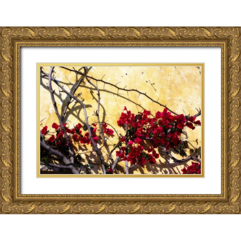 Flowers of Carmel I Gold Ornate Wood Framed Art Print with Double Matting by Hausenflock, Alan