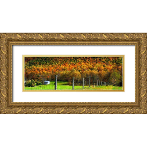 Autumn Splendor I Gold Ornate Wood Framed Art Print with Double Matting by Hausenflock, Alan