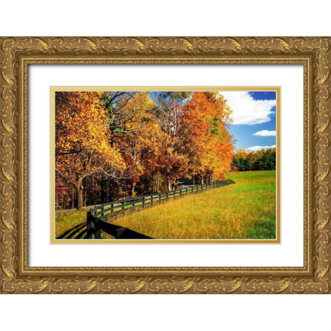 Winding Through Red and Gold Gold Ornate Wood Framed Art Print with Double Matting by Hausenflock, Alan