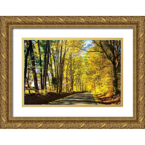 Trees of Gold and Green I Gold Ornate Wood Framed Art Print with Double Matting by Hausenflock, Alan