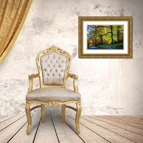 Trees of Gold and Green II Gold Ornate Wood Framed Art Print with Double Matting by Hausenflock, Alan