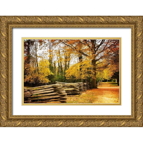 Late Fall Day I Gold Ornate Wood Framed Art Print with Double Matting by Hausenflock, Alan
