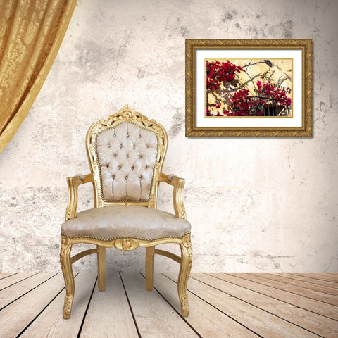 Flowers of Carmel II Gold Ornate Wood Framed Art Print with Double Matting by Hausenflock, Alan