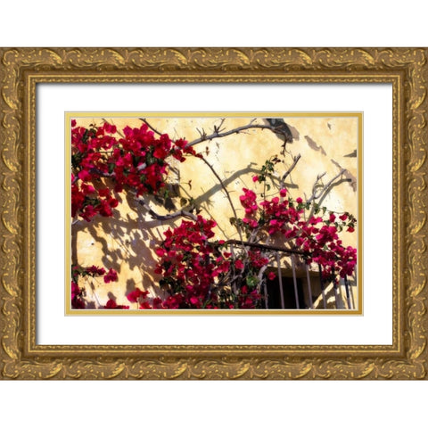 Flowers of Carmel II Gold Ornate Wood Framed Art Print with Double Matting by Hausenflock, Alan