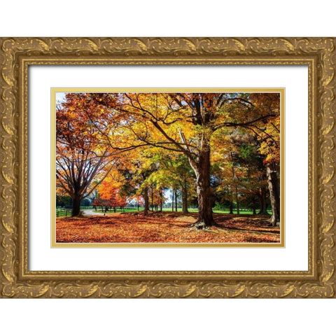 Autumn on the Plantation I Gold Ornate Wood Framed Art Print with Double Matting by Hausenflock, Alan