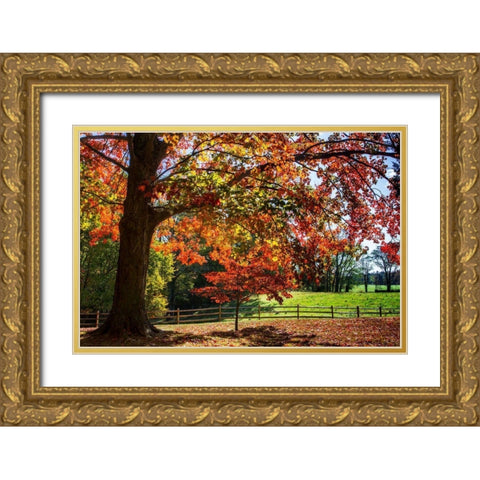 Autumn on the Plantation II Gold Ornate Wood Framed Art Print with Double Matting by Hausenflock, Alan