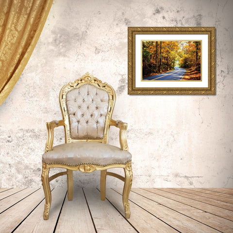 Walnut Grove Road I Gold Ornate Wood Framed Art Print with Double Matting by Hausenflock, Alan