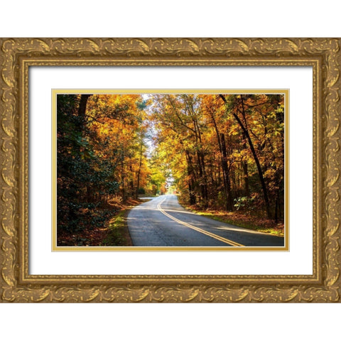 Walnut Grove Road II Gold Ornate Wood Framed Art Print with Double Matting by Hausenflock, Alan