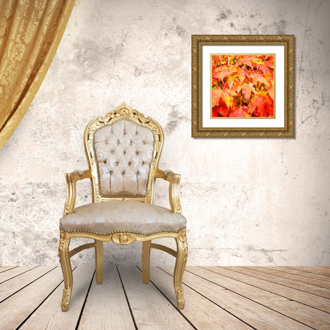 Autumn Leaves II Gold Ornate Wood Framed Art Print with Double Matting by Hausenflock, Alan