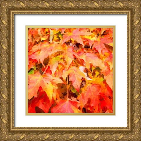 Autumn Leaves II Gold Ornate Wood Framed Art Print with Double Matting by Hausenflock, Alan