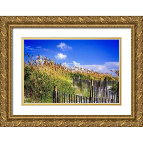 Summer at the Beach I Gold Ornate Wood Framed Art Print with Double Matting by Hausenflock, Alan