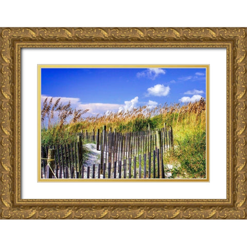 Summer at the Beach II Gold Ornate Wood Framed Art Print with Double Matting by Hausenflock, Alan