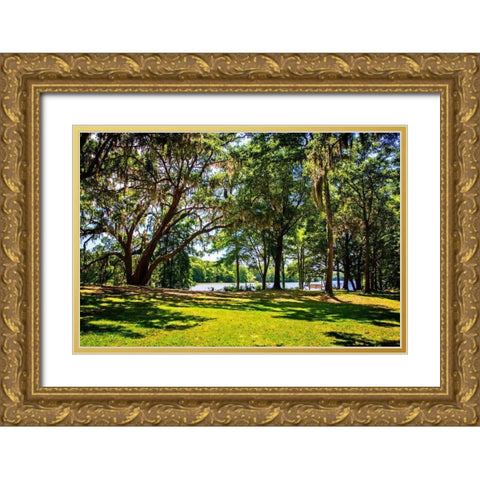 Beside the Ashley River Gold Ornate Wood Framed Art Print with Double Matting by Hausenflock, Alan