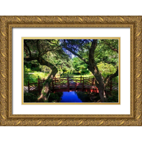 Bridge over Quiet Water Gold Ornate Wood Framed Art Print with Double Matting by Hausenflock, Alan