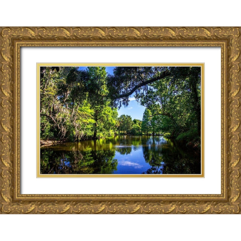 Draytons Pond Gold Ornate Wood Framed Art Print with Double Matting by Hausenflock, Alan