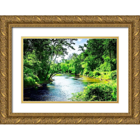 Summer Day on the Neuse River Gold Ornate Wood Framed Art Print with Double Matting by Hausenflock, Alan
