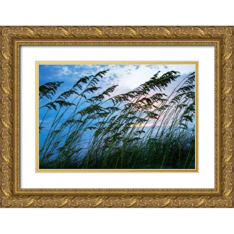 Stormy Beach II Gold Ornate Wood Framed Art Print with Double Matting by Hausenflock, Alan