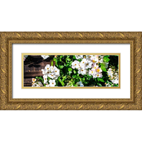 Climbing Wild Roses I Gold Ornate Wood Framed Art Print with Double Matting by Hausenflock, Alan