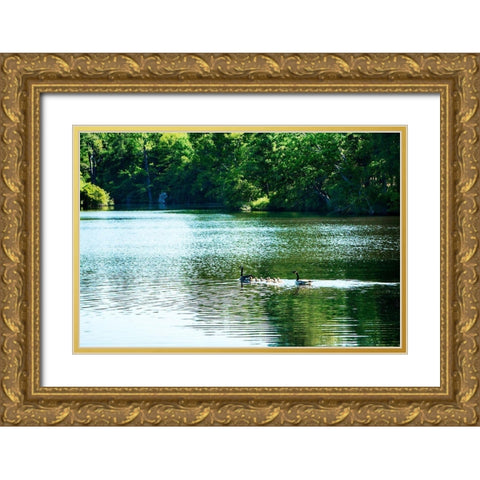 Walkerton Mill Pond Gold Ornate Wood Framed Art Print with Double Matting by Hausenflock, Alan