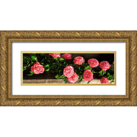 Climbing Pink Ladies II Gold Ornate Wood Framed Art Print with Double Matting by Hausenflock, Alan