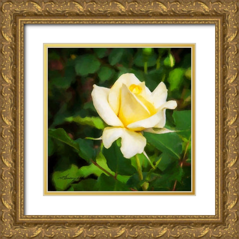 A Single Rose I Gold Ornate Wood Framed Art Print with Double Matting by Hausenflock, Alan