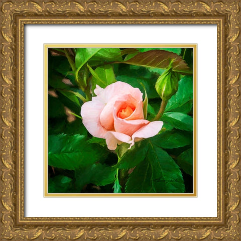 A Single Rose II Gold Ornate Wood Framed Art Print with Double Matting by Hausenflock, Alan