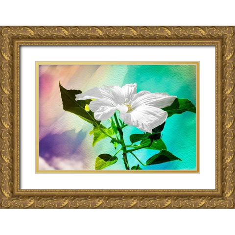 Summer Flower Gold Ornate Wood Framed Art Print with Double Matting by Hausenflock, Alan