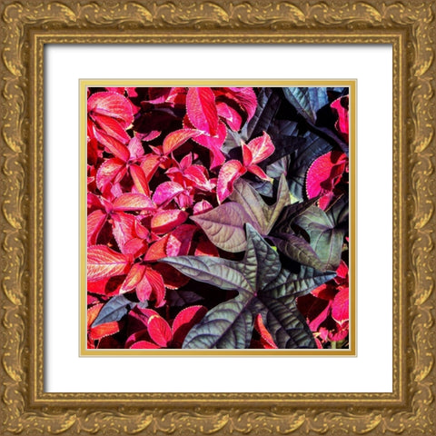 Colorful Leaves II Gold Ornate Wood Framed Art Print with Double Matting by Hausenflock, Alan