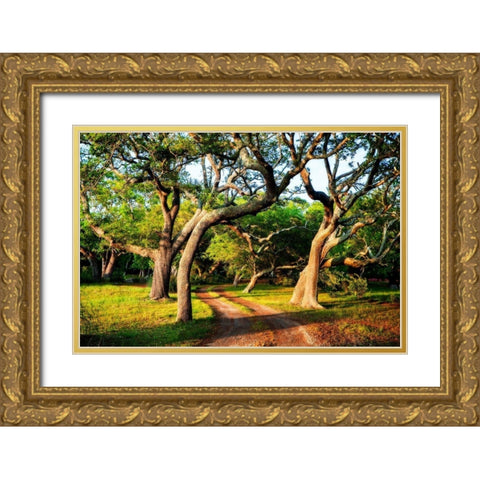 Lenoxville Point I Gold Ornate Wood Framed Art Print with Double Matting by Hausenflock, Alan