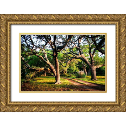 Lenoxville Point II Gold Ornate Wood Framed Art Print with Double Matting by Hausenflock, Alan