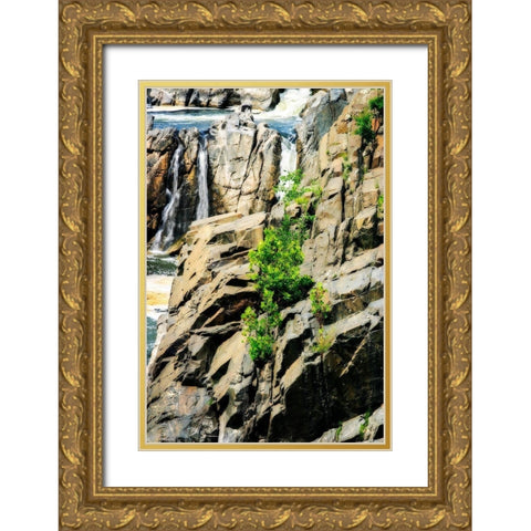 Cascading Water I Gold Ornate Wood Framed Art Print with Double Matting by Hausenflock, Alan