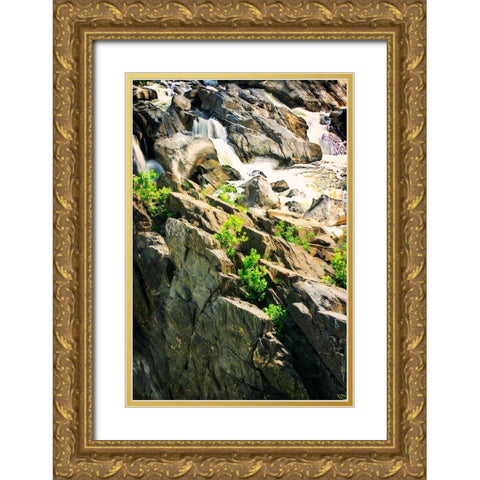 Cascading Water II Gold Ornate Wood Framed Art Print with Double Matting by Hausenflock, Alan