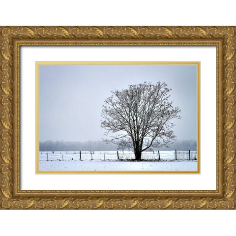 Snowbound I Gold Ornate Wood Framed Art Print with Double Matting by Hausenflock, Alan