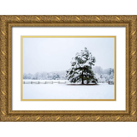 Snowy Sentinel Gold Ornate Wood Framed Art Print with Double Matting by Hausenflock, Alan