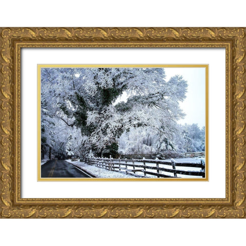 Rural Point Road Gold Ornate Wood Framed Art Print with Double Matting by Hausenflock, Alan