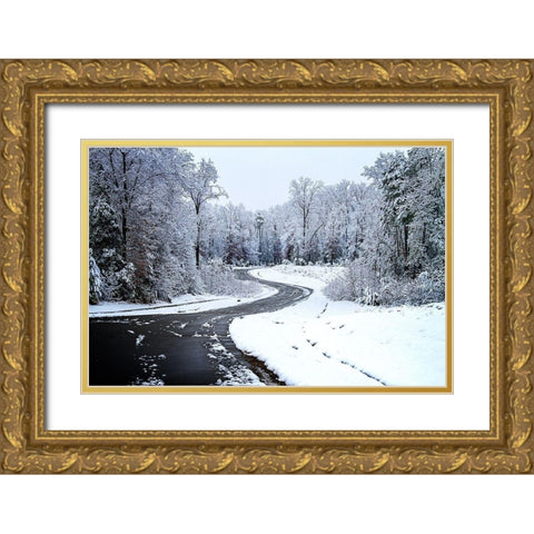 Lindsay Hill Lane Gold Ornate Wood Framed Art Print with Double Matting by Hausenflock, Alan