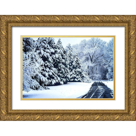 Bellswood Road Gold Ornate Wood Framed Art Print with Double Matting by Hausenflock, Alan