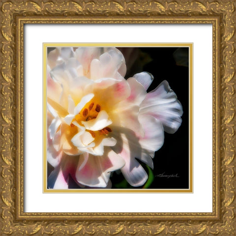 Pink Beauty Gold Ornate Wood Framed Art Print with Double Matting by Hausenflock, Alan