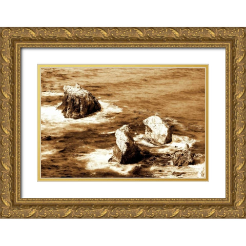Garrapata Highlands VI Gold Ornate Wood Framed Art Print with Double Matting by Hausenflock, Alan