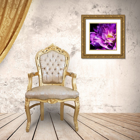 Purple Petals Gold Ornate Wood Framed Art Print with Double Matting by Hausenflock, Alan